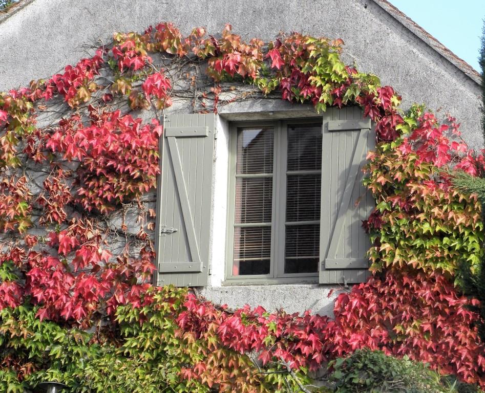 St. Loup de Naud - 2016